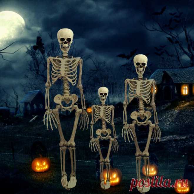 38cm/90cm halloween prop skeleton skeleton skull hand lifelike human body poseable anatomy model party festival decoration Sale - Banggood.com