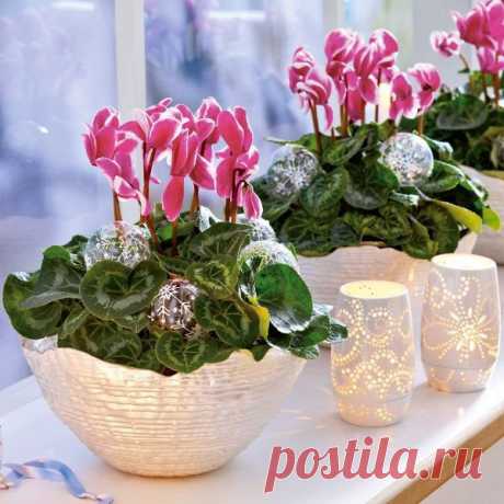 хх