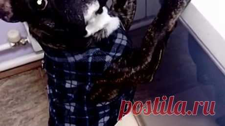 VID-20190214-WA0020.mp4