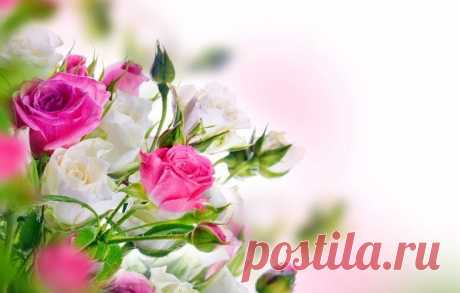 КАКОЙ СЕГОДНЯ ПРАЗДНИК? 24 Марта 2016 г. – Четверг • Всемирный день борьбы с туберкулёзом 134 года • Международный день борьбы с депрессией • День вверх тормашками • Международный день права на установление истины в отношении грубых нарушений прав человека и достоинства жертв 5 лет • День штурманской службы ВВС РФ 100 лет • День рождения куриного окорочка • Именины у Василия, Евфимия, Софрония, Ивана, Георгия