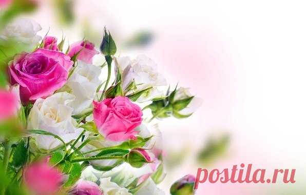 КАКОЙ СЕГОДНЯ ПРАЗДНИК? 24 Марта 2016 г. – Четверг • Всемирный день борьбы с туберкулёзом 134 года • Международный день борьбы с депрессией • День вверх тормашками • Международный день права на установление истины в отношении грубых нарушений прав человека и достоинства жертв 5 лет • День штурманской службы ВВС РФ 100 лет • День рождения куриного окорочка • Именины у Василия, Евфимия, Софрония, Ивана, Георгия