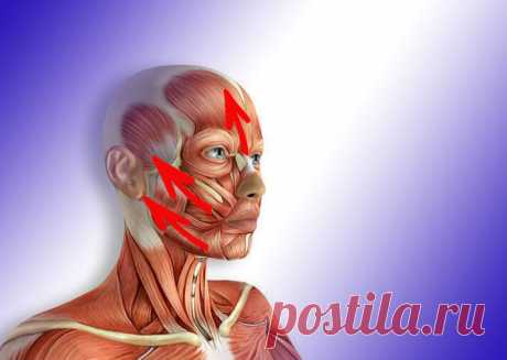 Эта техника — 99% успеха омоложения лица!