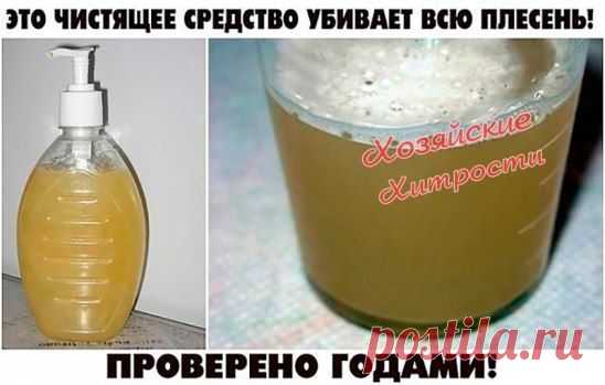 Борьба с плесенью