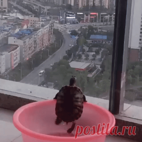 Карантин достал. Прогуляться бы...