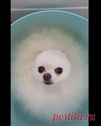 Водные процедуры)