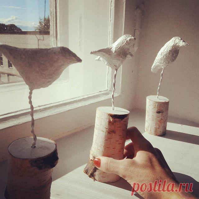 Теперь у меня на окне живут Женины птички ) #interior #interiordecor #decor #птицы #штаббелойвороны #женькавштабе