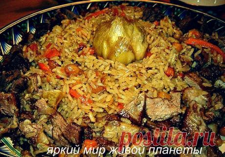 10 рецептов плова