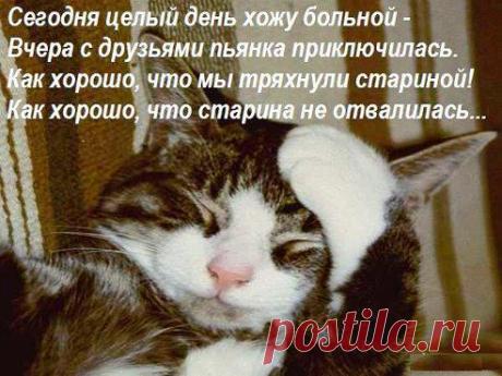 Прикольные открытки Похмелье