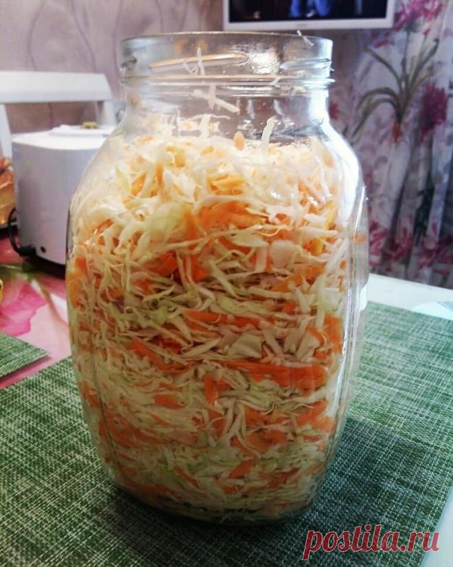 ЗАСОЛКА РАННЕЙ КАПУСТЫ НА ЗИМУ ПОД КРЫШКИ

Ингредиенты: 
2,5 кг капусты 
3-4 средних мoрковки 
2 ст л соли 
1 ст л сахар 
1 литр холодной кипяченой воды 
9-10 горошин перца 

Шинкую кaпусту специальным ножом, морковь комбайне с решеткой 