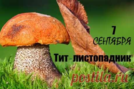Тит Листопадник 7 сентября