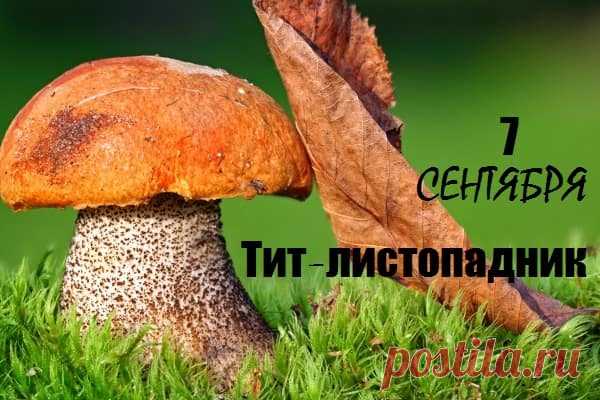 Тит Листопадник 7 сентября