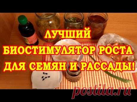 ЛУЧШИЙ БИОСТИМУЛЯТОР РОСТА ДЛЯ СЕМЯН И РАССАДЫ!