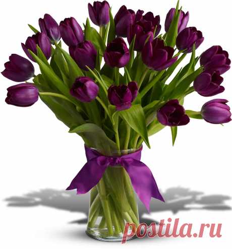 Чтоб побеждало, лишь добро…
Тюльпаны посланы Всевышним…
То чудо к нам с небес сошло…
В них каждый штрих совсем не лишний…