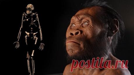 Homo naledi — загадочное звено человеческой эволюции | Наука и технологии
