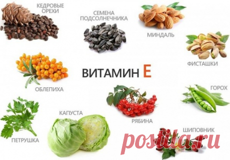 Витамин Е – витамин молодости! — Народная Воля