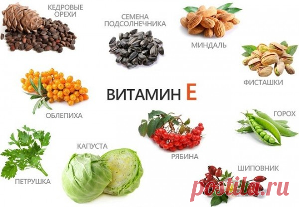Витамин Е – витамин молодости! — Народная Воля
