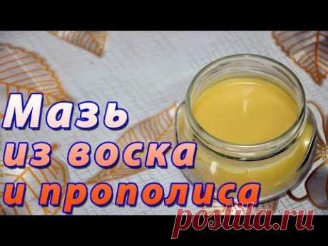 Мазь на основе воска и прополиса. Прополисная мазь. Пчелиная мазь