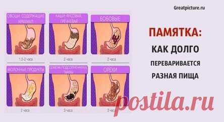 Памятка: как долго переваривается разная пища