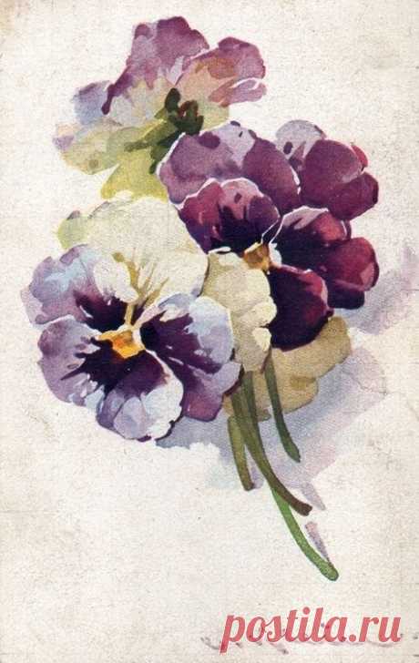 (300) artemesia-violette.tumblr.com | Kwiat