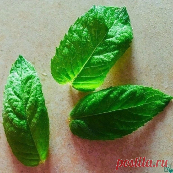 ПЕЧЕНЬ МОЖНО ВЫЛЕЧИТЬ ТРАВАМИ