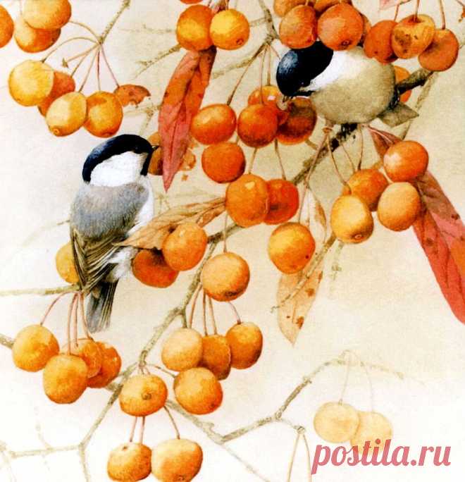 marjolein bastin картинки - 1 710 картинок. Поиск Mail.Ru