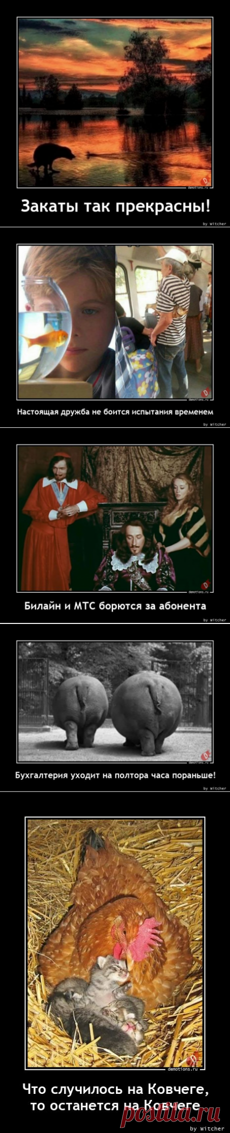 Демотиваторы-261