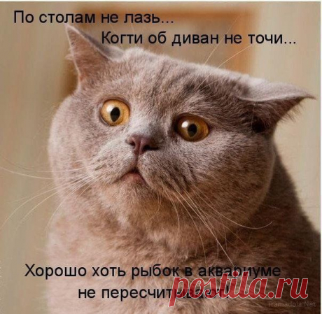 Мой Мир@Mail.Ru