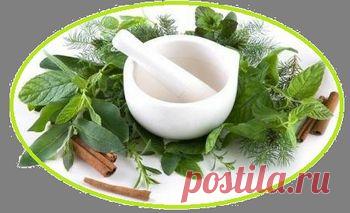 Подборка рецептов для очищения и оздоровления почек