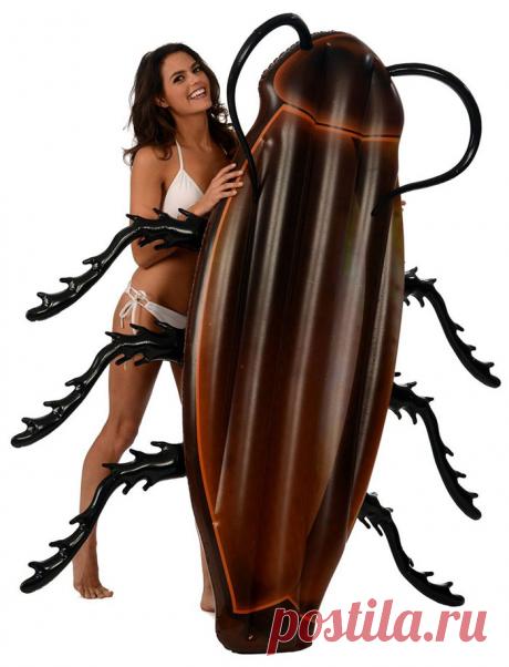 Как насчет поплавать на огромном таракане? На Amazon продают матрас в форме жуткого насекомого • НОВОСТИ В ФОТОГРАФИЯХ