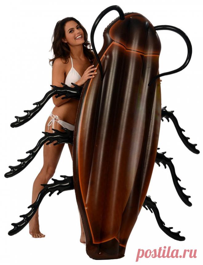 Как насчет поплавать на огромном таракане? На Amazon продают матрас в форме жуткого насекомого • НОВОСТИ В ФОТОГРАФИЯХ