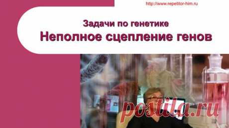 Репетитор Богунова В.Г. | Задачи по генетике. Неполное сцепление генов (1)