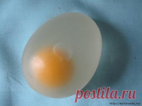 Сахарный диабет и яйцо Чтобы контролировать уровень сахара в крови — вам понадобится всего одно варенное яйцо. Сахарный диабет является — заболевание, которое влияет на способ, которым организм будет обрабатывать глюкозу (вид сахара) в крови. Большинство людей, страдают от диабета 2-го типа. При сахарном диабете 2-го типа ваш организм не может использовать инсулин должным образом. Поскольку число людей, которые […]