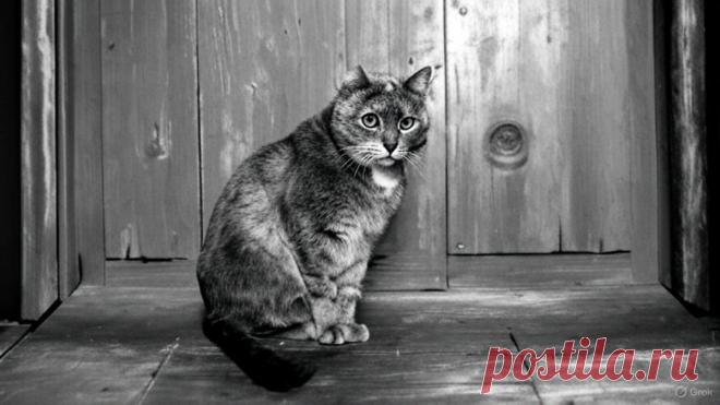 Последнее прощение - OGADANIE.RU