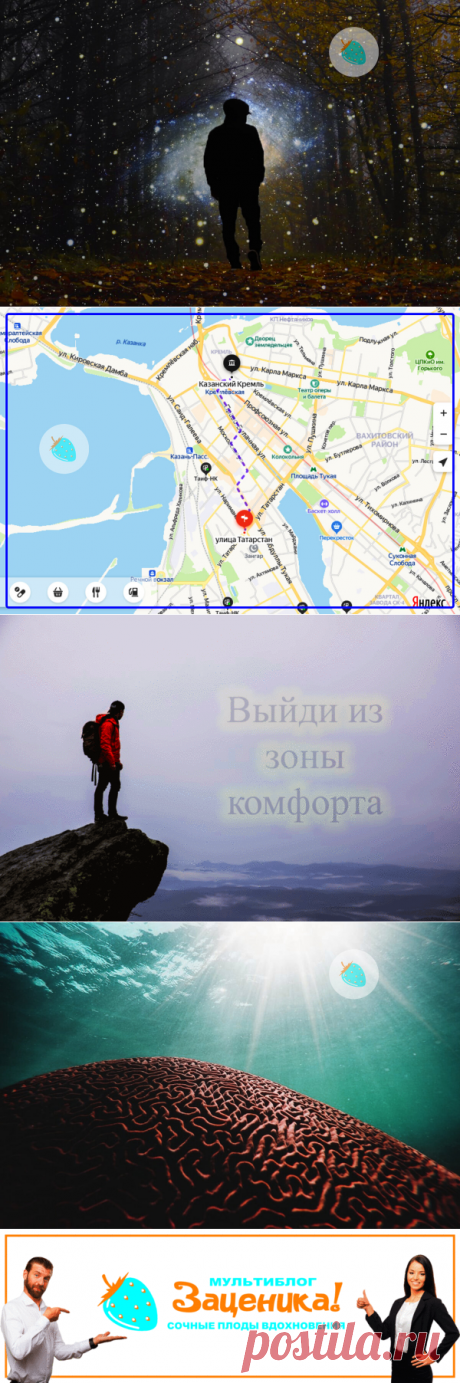 Тропинки в лесу подсознания. Философское эссе. (Часть 1) | Заценика | мультиблог | Яндекс Дзен