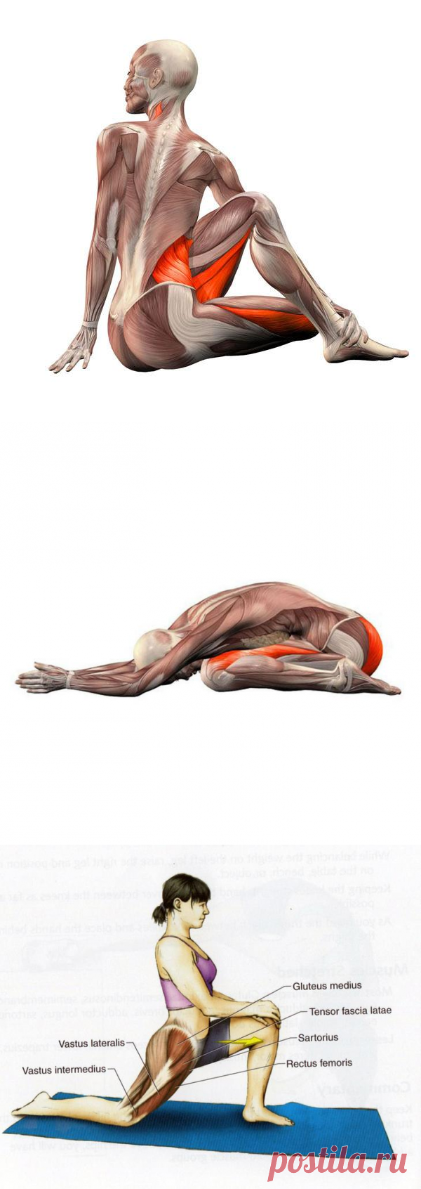 Стречинг: лучшие упражнения на растяжку мышц