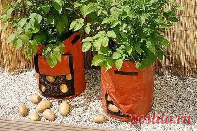 (6) Одноклассники