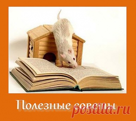 Полезные советы на все случаи жизни |