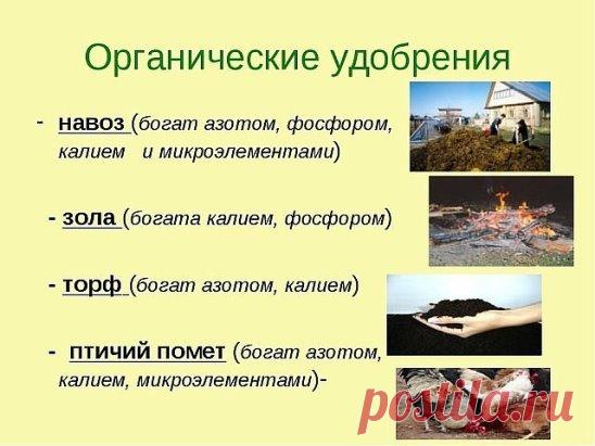 ОРГАНИЧЕСКИЕ ПОДКОРМКИ!!!
-------------------------------------------------------------------------------------------
Чтобы не потерять совет , жмите  поделиться.
-------------------------------------------------------------------------------------------
Зольная подкормка 
Еще один популярный у сторонников природного земледелия вид подкормки. 
Древесная или соломенная зола в органическом земледелии считается одним 
из лучших источников калия и фосфора, соответственно подкормка зольным 
настоем р