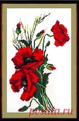 в/к Маки алые