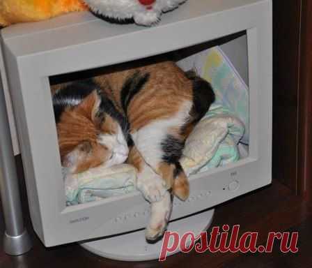 Фотографии на стене сообщества | 32 784 фотографии | ВКонтакте