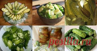 Огурцы - 1218 рецептов приготовления пошагово - 1000.menu Огурцы - быстрые и простые рецепты для дома на любой вкус: отзывы, время готовки, калории, супер-поиск, личная КК