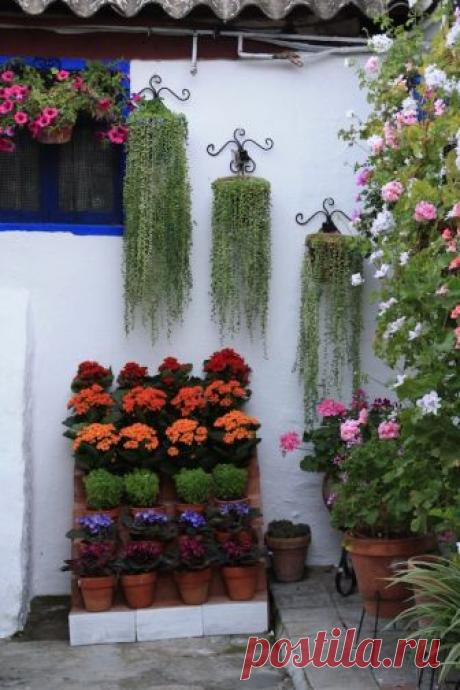 patios cordobeses interiores bonitos - Buscar con Google