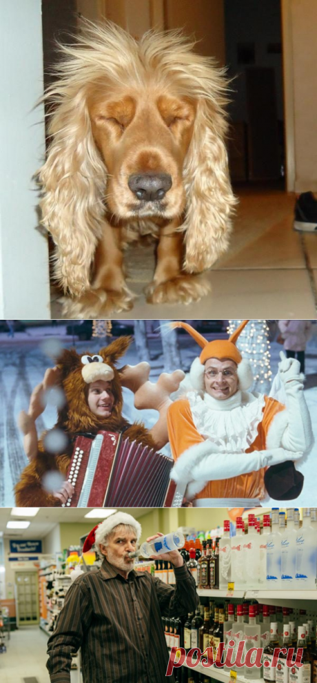 7 способов привести себя в порядок после бурной вечеринки / Будьте здоровы