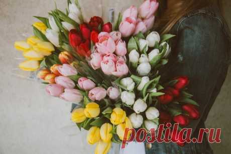 Цветы и открытки на 8 марта | Цветы 24 часа Лара