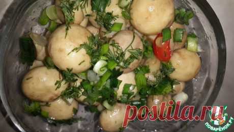 Быстрые маринованные грибочки Кулинарный рецепт