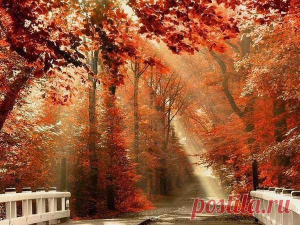 ПРИХОДИТ ВРЕМЯ... – 