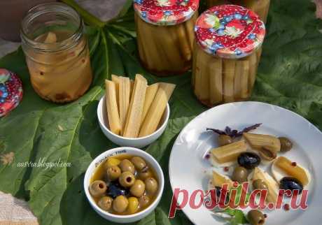 Маринованный ревень