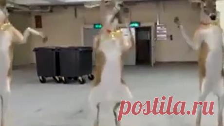 С НАСТУПАЮЩИМ!