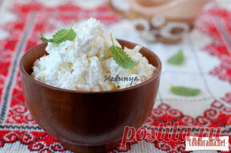 Сир холодним способом / Закуски / Кукорама — смачні рецепти!