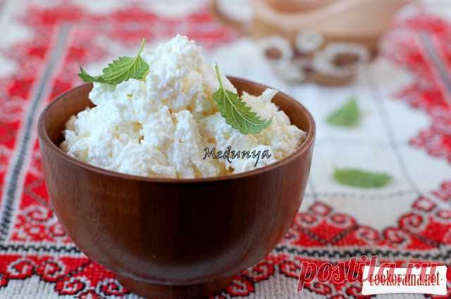 Сир холодним способом / Закуски / Кукорама — смачні рецепти!
